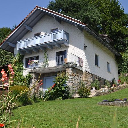 Ferienwohnung Regentalblick Miltach المظهر الخارجي الصورة