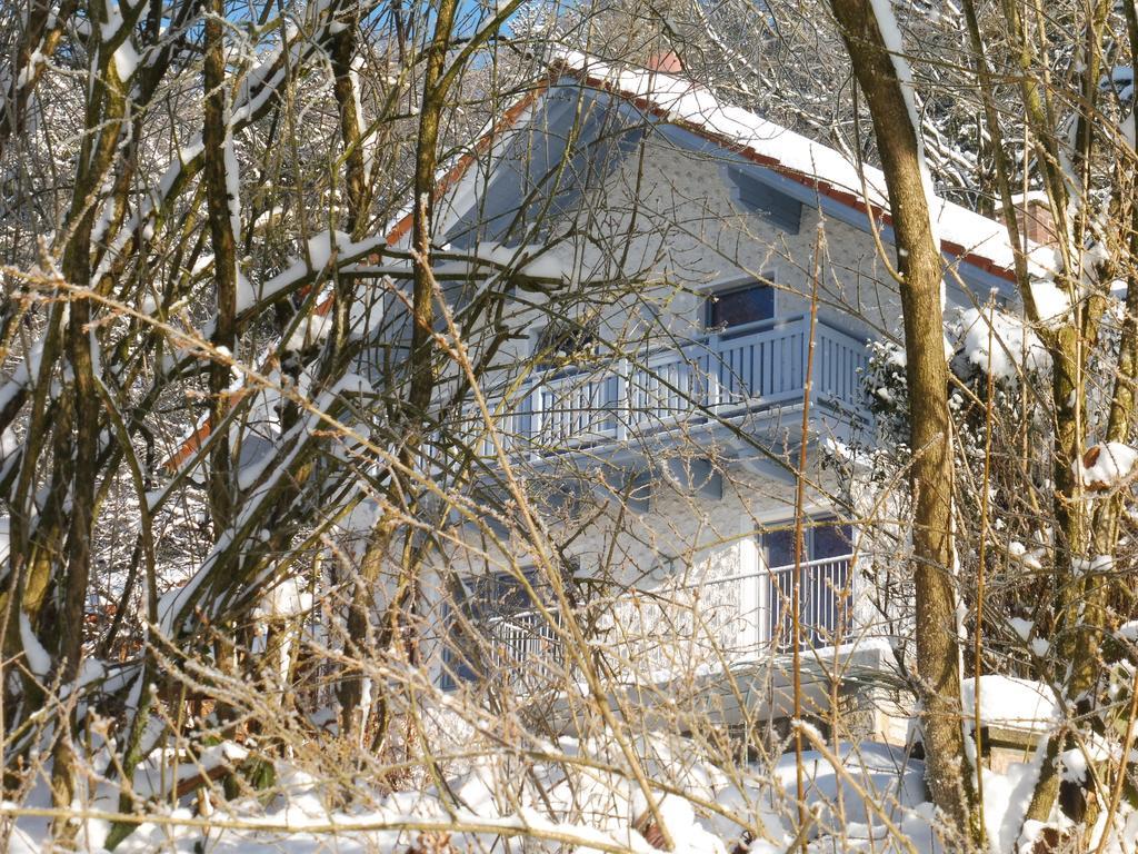 Ferienwohnung Regentalblick Miltach المظهر الخارجي الصورة