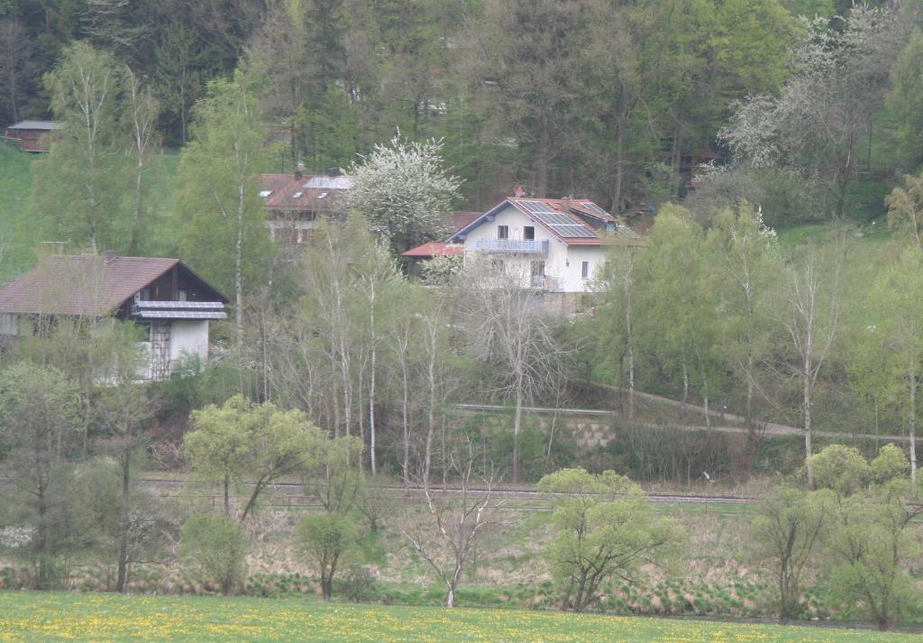 Ferienwohnung Regentalblick Miltach المظهر الخارجي الصورة